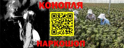 apvp Дубна